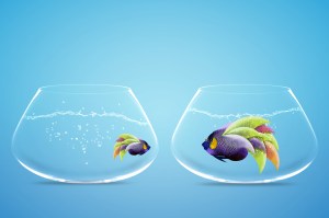 canstockphoto11067543