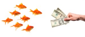 canstockphoto2595207